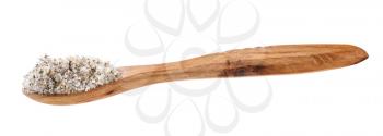 side view of wooden salt spoon with seasoned salt with spices and dried herbs isolated on white background