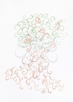 fancy tree from squiggles of hand-drawn by colour pencils on white paper