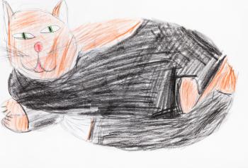large fat black and brown cat hand-drawn by colour pencils on white paper
