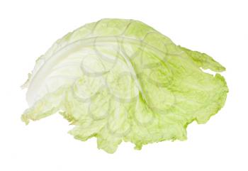 single leaf of savoy cabbage vegetable isolated on white background