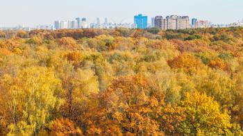 panoramic view of yellow city park with residential buildings on sunny autumn day