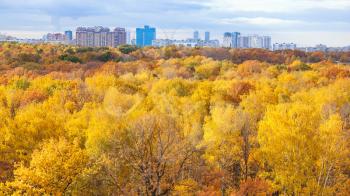 panoramic view of colorful city park in sunny autumn morning