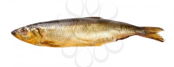 whole cold-smoked herring isolated on white background