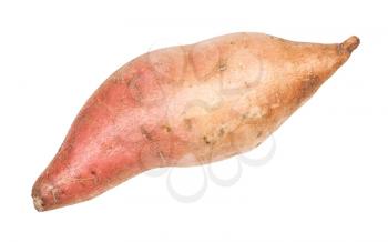 tuber of sweet potato (ipomoea batatas, batata) isolated on white background