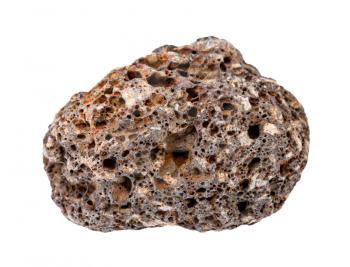 closeup of sample of natural mineral from geological collection - rolled brown Pumice rock isolated on white background