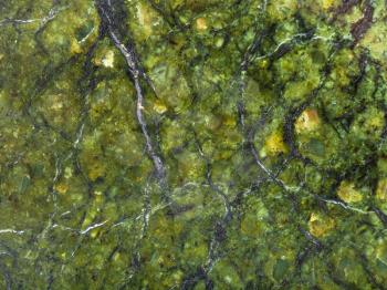 background from polished natural serpentinite rock close up