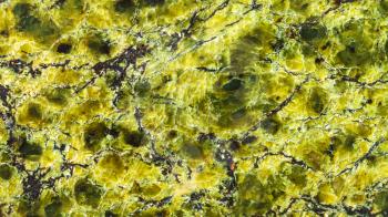panoramic background from polished natural Serpentinite (Lizardite) rock close up