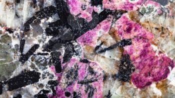 panoramic background from polished natural syenite (lujaurite) rock with purple eudialyte mineral and black aegirine crystals close up