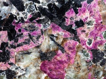 natural background from polished syenite (lujaurite) stone with purple eudialyte mineral and black aegirine crystals close up