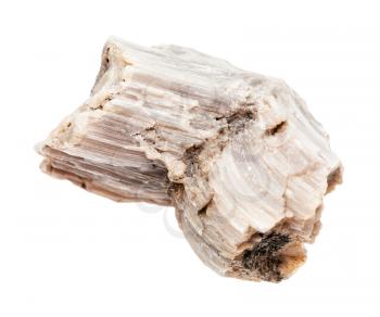 closeup of sample of natural mineral from geological collection - raw Baryte rock isolated on white background