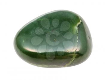 closeup of sample of natural mineral from geological collection - polished Nephrite (green jade) gemstone isolated on white background