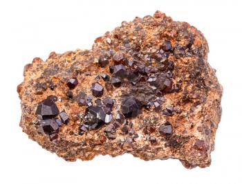 closeup of sample of natural mineral from geological collection - druse of Andradite garnet crystals on rock isolated on white background