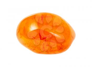 closeup of sample of natural mineral from geological collection - rolled Carnelian gemstone isolated on white background