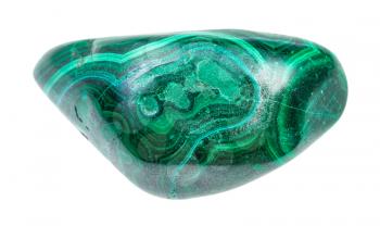 closeup of sample of natural mineral from geological collection - polished Malachite gem isolated on white background