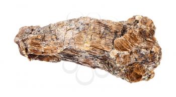 closeup of sample of natural mineral from geological collection - rough Bronzite (Enstatite) rock isolated on white background