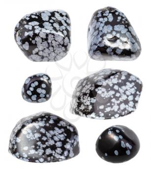 set of various Snowflake Obsidian gemstones isolated on white background