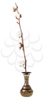 natural dried twig of cotton in carved brass indian vase isolated on white background