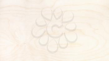panoramic wooden background - surface of natural birch plywood