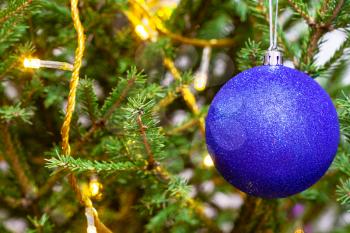 blue ball and light string on twigs of natural christmas tree close-up indoor