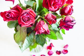 above view of bouquet of wilted red rose flowers in glass vase and fallen petals on pale brown table (focus on the bloom on foreground)
