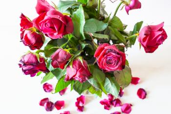 above view of bouquet of withered red rose flowers and fallen petals on pale brown table (focus on the bloom on foreground)