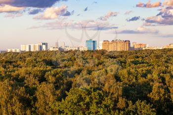 green forest and city on horizon in sunny summer evening