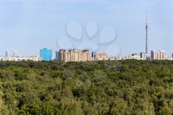 above view of lush green forest and city on horizon on sunny September day in Moscow city