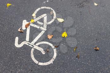 wet surface of bicycle lane in city in autumn rain