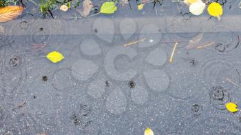 above view of puddle with floating fallen leaves on sidewalk in autumn rain