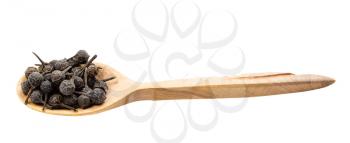 tailed pepper (cubeb) in wooden spoon isolated on white backgrouns