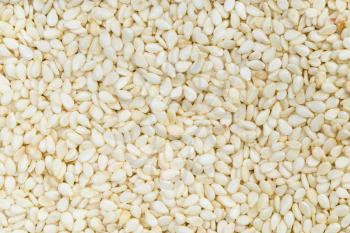 food background - many white sesame seeds