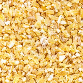 square food background - crushed polished wheat grains close up