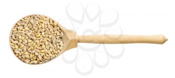 top view of wood spoon with uncooked pearled barley grains isolated on white background