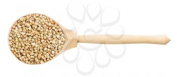 top view of wood spoon with raw green buckwheat grains isolated on white background