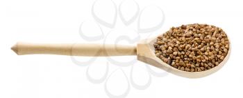 wooden spoon with roasted buckwheat grains isolated on white background