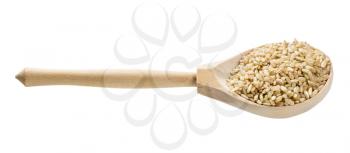 wooden spoon with unpolished brown rice grains isolated on white background
