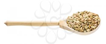 wooden spoon with whole large green lentils isolated on white background