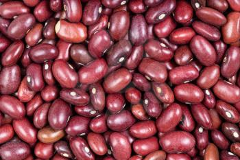 food background - raw mexican red beans