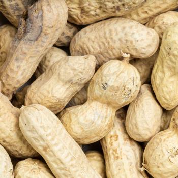 square food background - whole peanuts close up