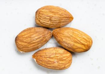 several raw almond seeds close up on gray ceramic plate