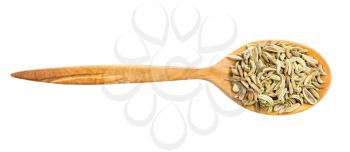 top view of wood spoon with fennel seeds isolated on white background