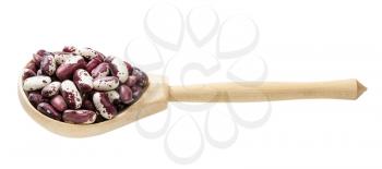 red speckled kidney beans in wooden spoon isolated on white background