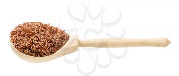 raw red rice in wooden spoon isolated on white background