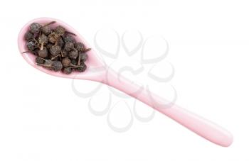 top view of tailed pepper (cubeb) in ceramic spoon isolated on white backgrouns