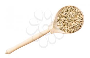 top view of scagliola canary seeds in wood spoon isolated on white background