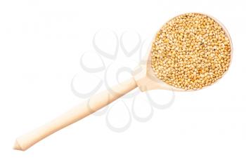 top view of unpolished yellow proso millet in wood spoon isolated on white background