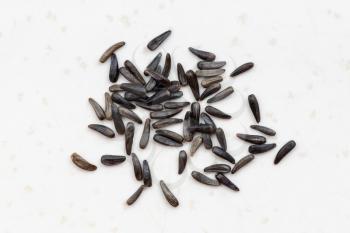 several whole-grain niger seeds (Guizotia Abyssinica) close up on gray ceramic plate
