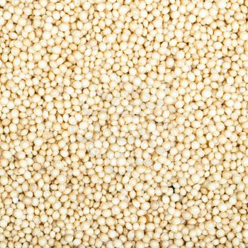square food background - amaranth grains close up