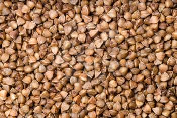 food background - roasted buckwheat grains