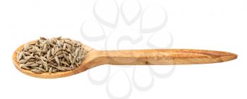 wooden spoon with cumin (cuminum cyminum) seeds isolated on white background